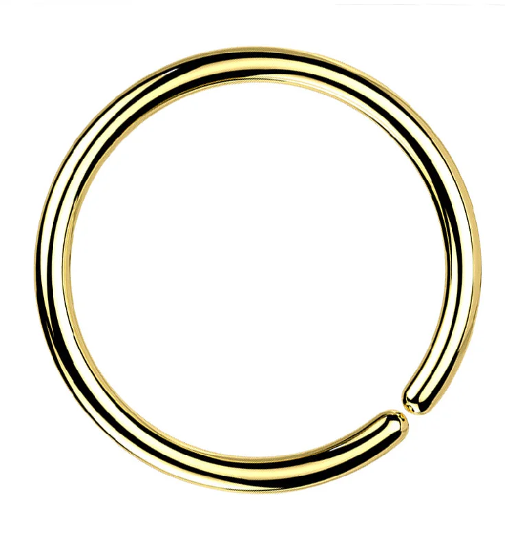 Gold PVD Titanium Annealed Seamless Hoop Ring