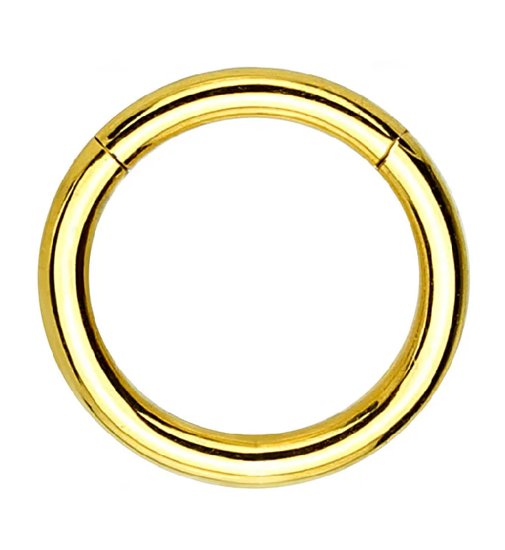 Gold PVD Hinged Stainless Steel Segment Hoop Ring